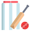 Sky Exchange icons8 cricket 64
